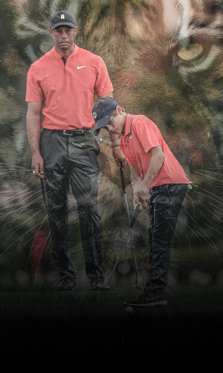 Tiger And His Cub