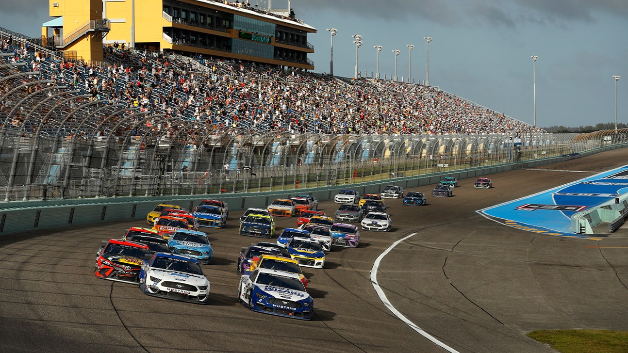 NASCAR To Use Dogs To Detect COVID-19 At Atlanta Motor Speedway