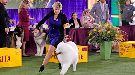 Unforgettable weekend at the 2021 Westminster Kennel Club Dog Show