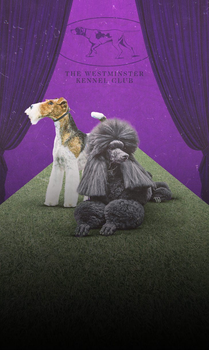 2021 Westminster Kennel Club Dog Show Everything you need to know