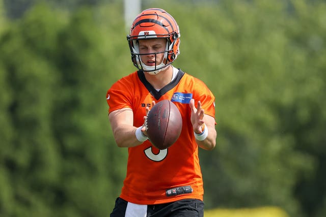 Decisions Await Bengals Bettors With Tickets Up To 300/1