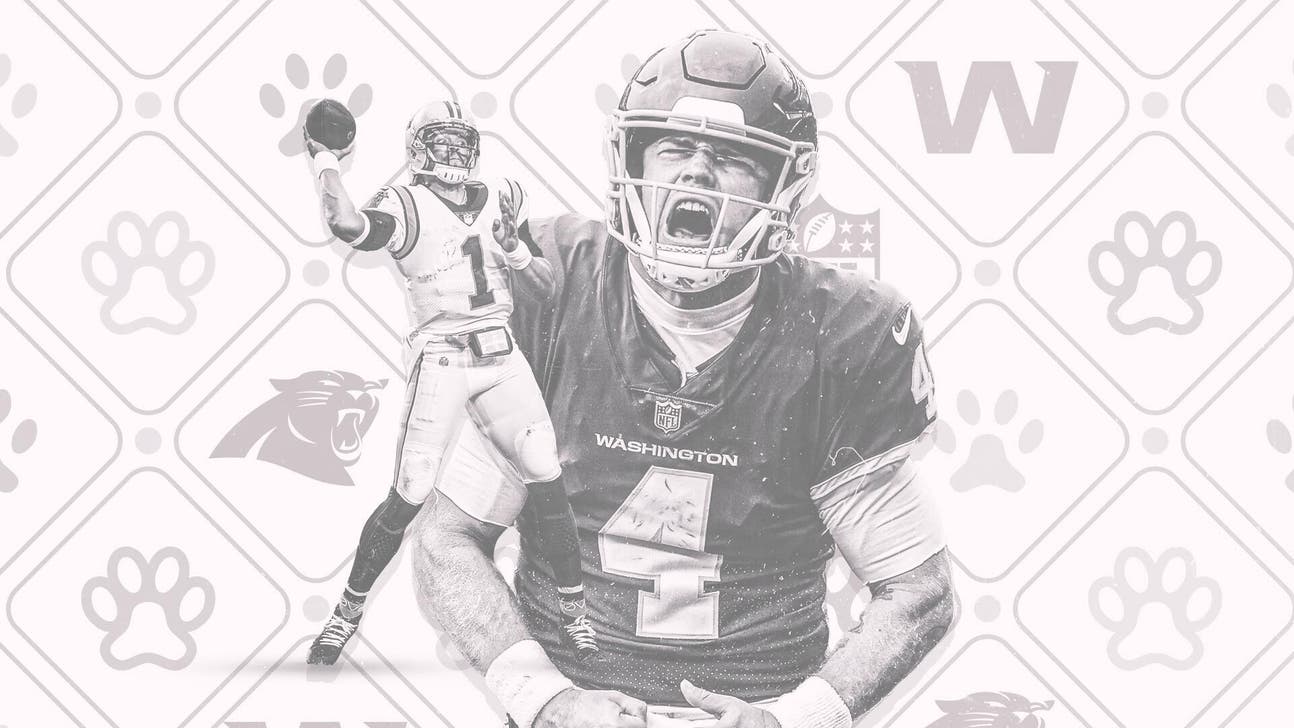 NFL odds: Can underdogs continue to cover after Week 10 success?