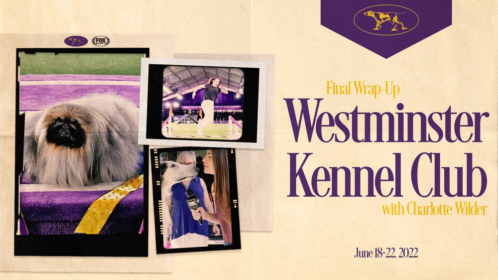 Behind the scenes with the glam squads at Westminster Dog Show