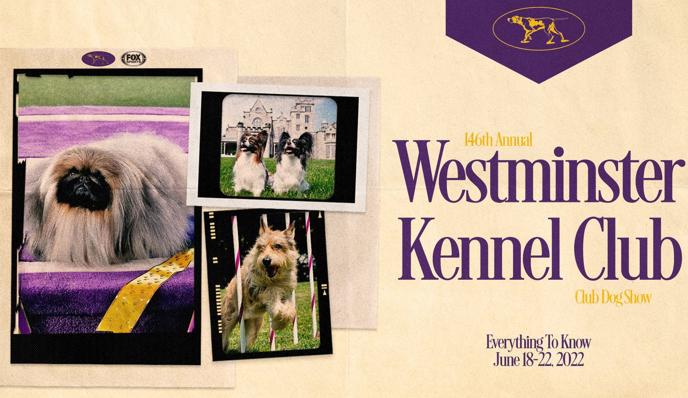 2022 Westminster Kennel Club Dog Show Everything you need to know FOX Sports