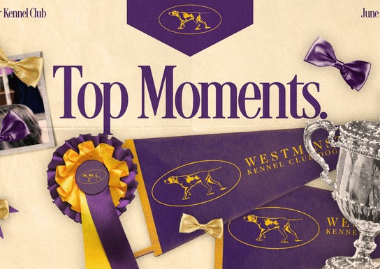 Westminster Dog Show 2022: Top moments, winners, Best in Show champ