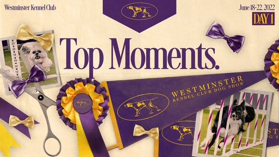 2022 Westminster Dog Show: Bee is Masters Agility Champion