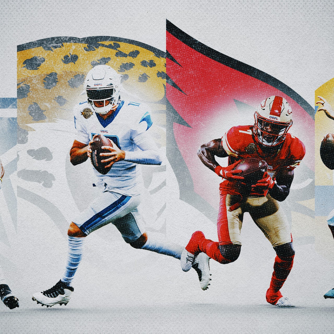 usfl and nfl