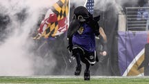 NEXT Trending Image: Ravens mascot injured in halftime football game