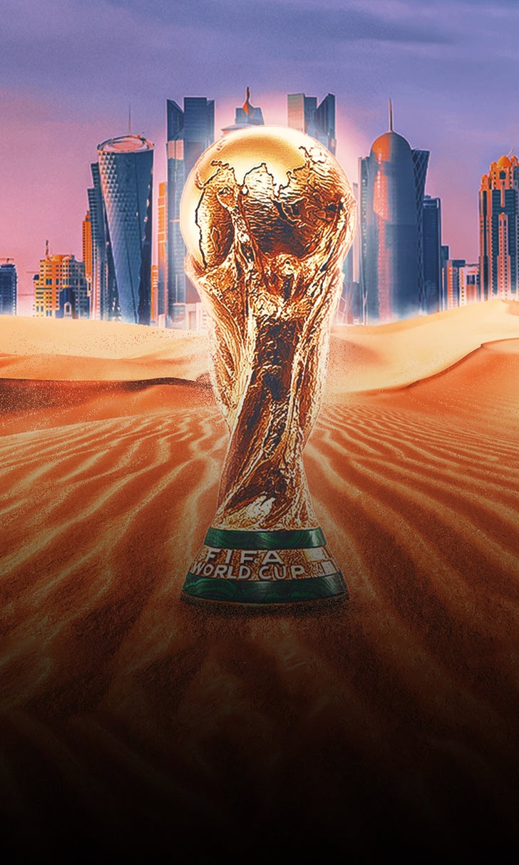 FIFA VP: Qatar 2022 could be last World Cup hosted by single country