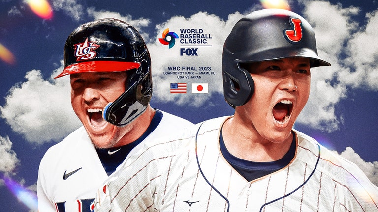2023 WBC Official Ball Rawlings World baseball Classic