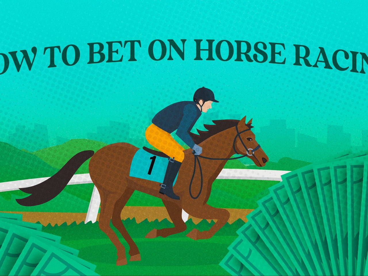 Horse Racing terms, slang explained Tips, odds, betting