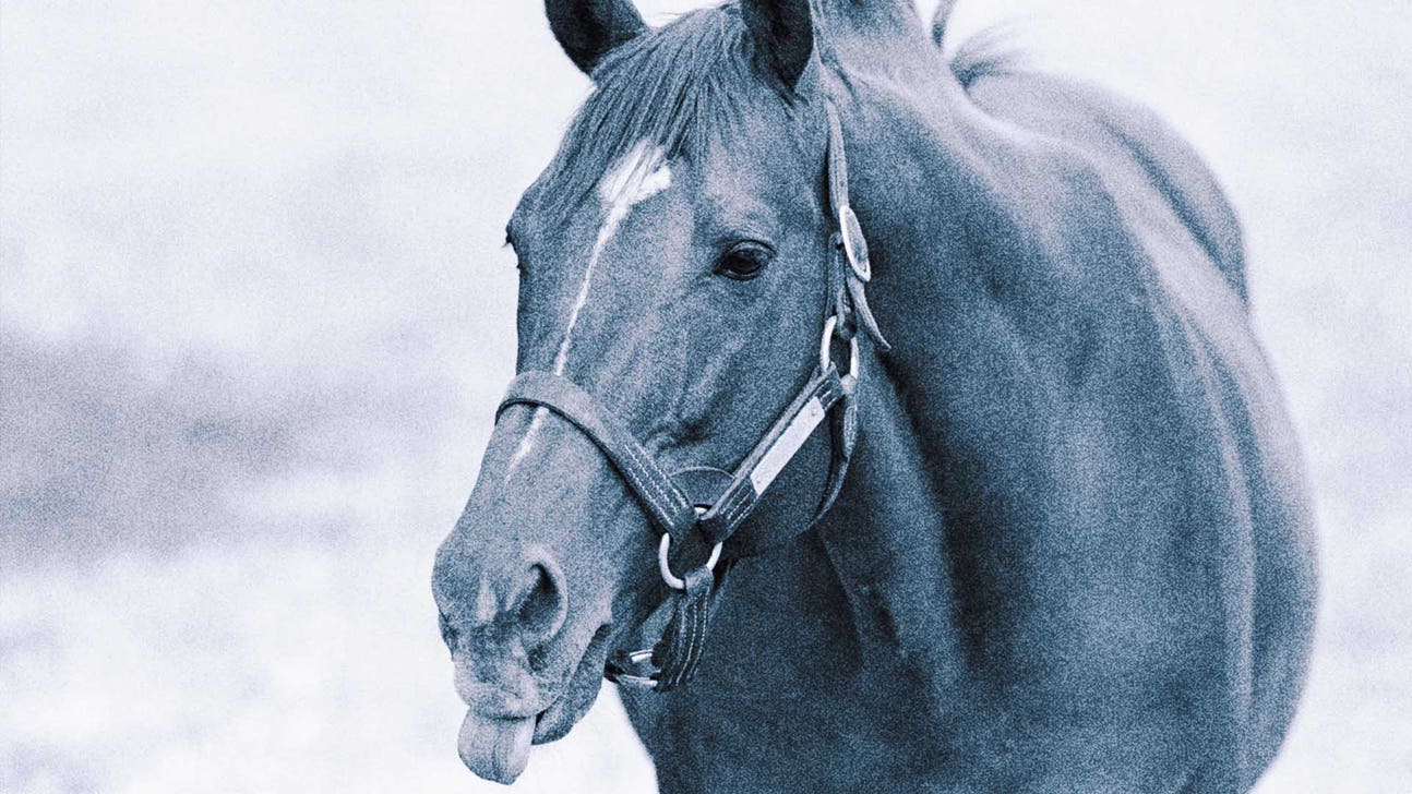 Secretariat still dominates horse racing 50 years after Triple Crown