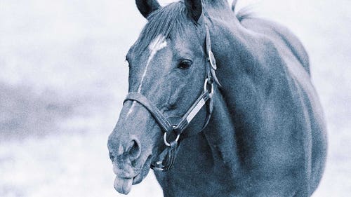 HORSE RACING Trending Image: Secretariat still dominates horse racing 50 years after Triple Crown