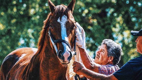 الصورة الشائعة لسباق الخيول: تحصل Mage المفضلة لدى Preakness على غرز فوق العين ، وهي جيدة للتشغيل في سباق Triple Crown