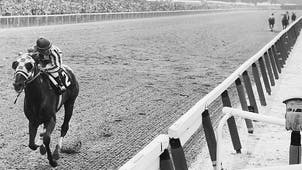 NEXT Trending Image: Triple Crown Winners: Complete list of champions, races