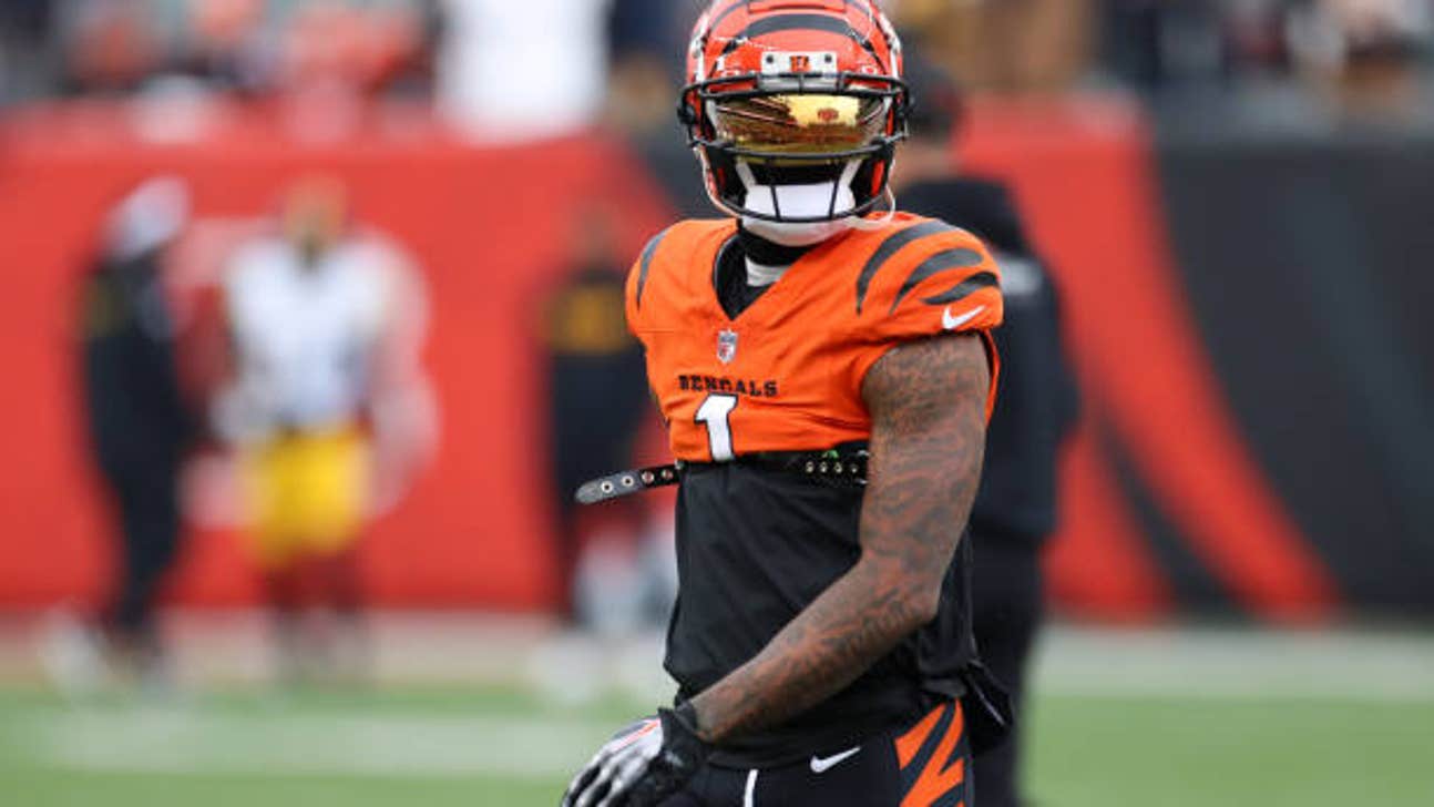 NFL: NOV 26 Steelers at Bengals