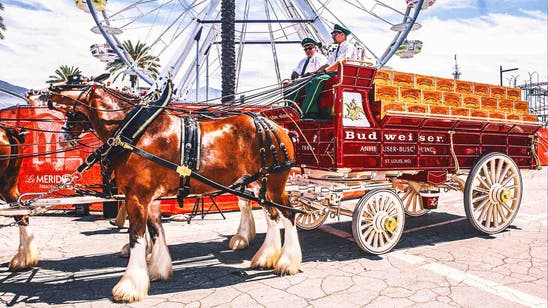 Budweiser's Clydesdales are returning to the Super Bowl