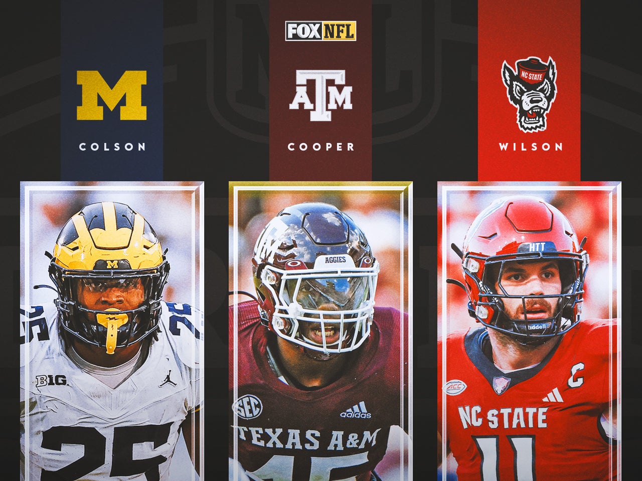 Nfl Lb Rankings 2024: Unveiling the Elite Linebackers!