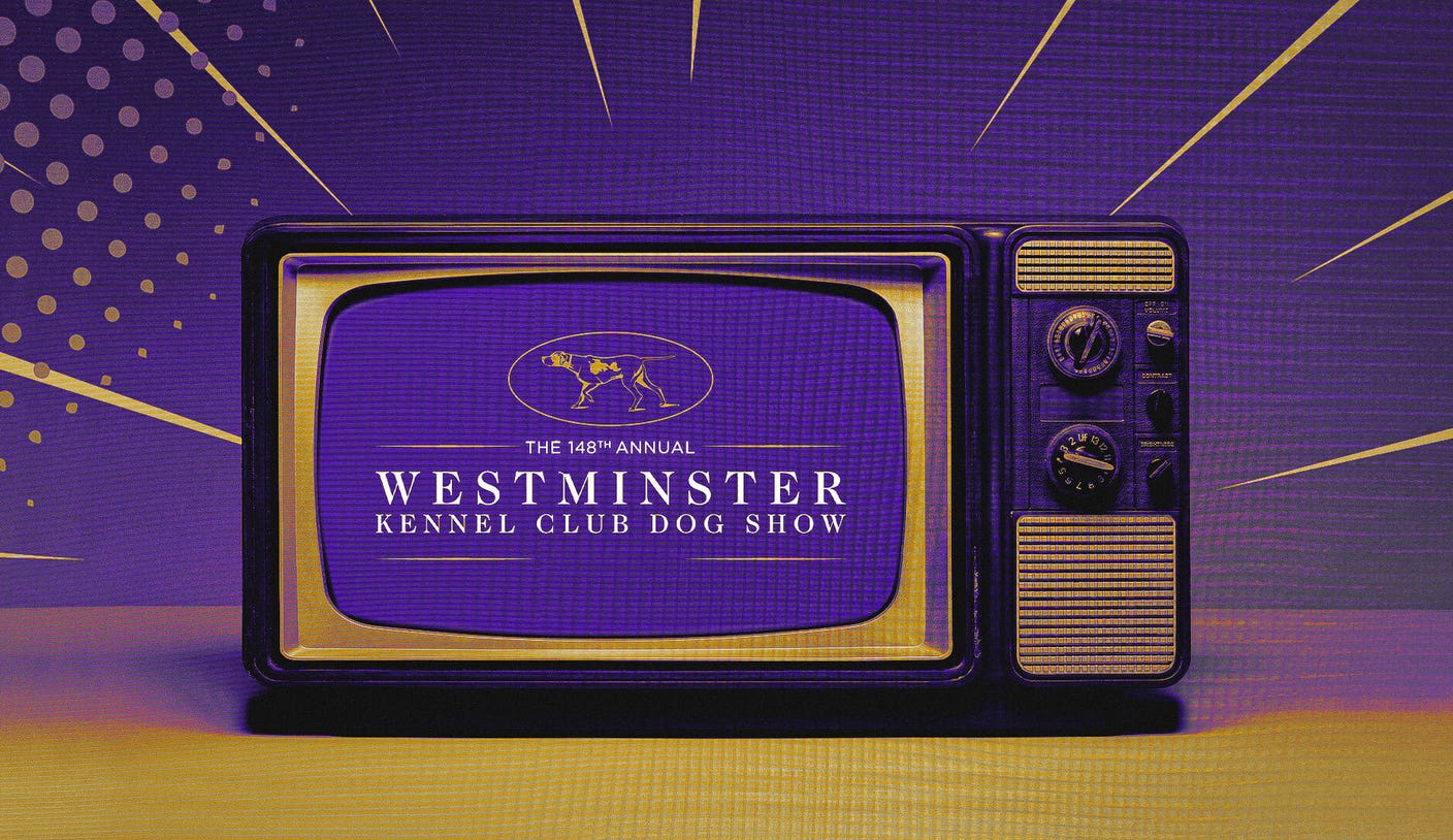 2024 Westminster Dog Show: Schedule, dates, TV, streaming, how to watch |  FOX Sports