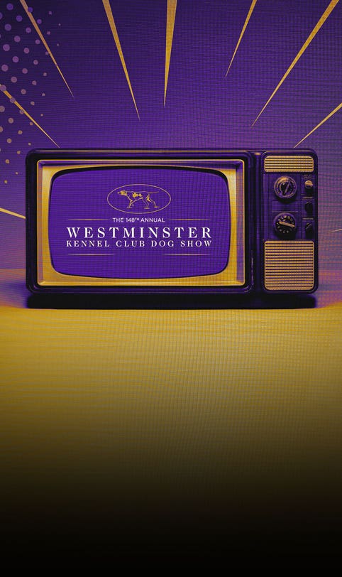 2024 Westminster Dog Show: Schedule, dates, TV, streaming, how to watch