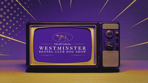 NEXT Trending Image: 2024 Westminster Dog Show: Schedule, dates, TV, streaming, how to watch