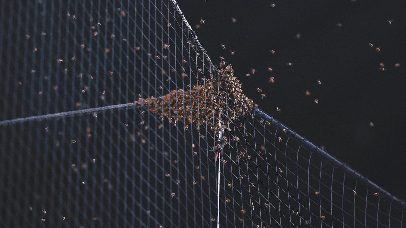Bee swarm delays Dodgers-Diamondbacks game for two hours