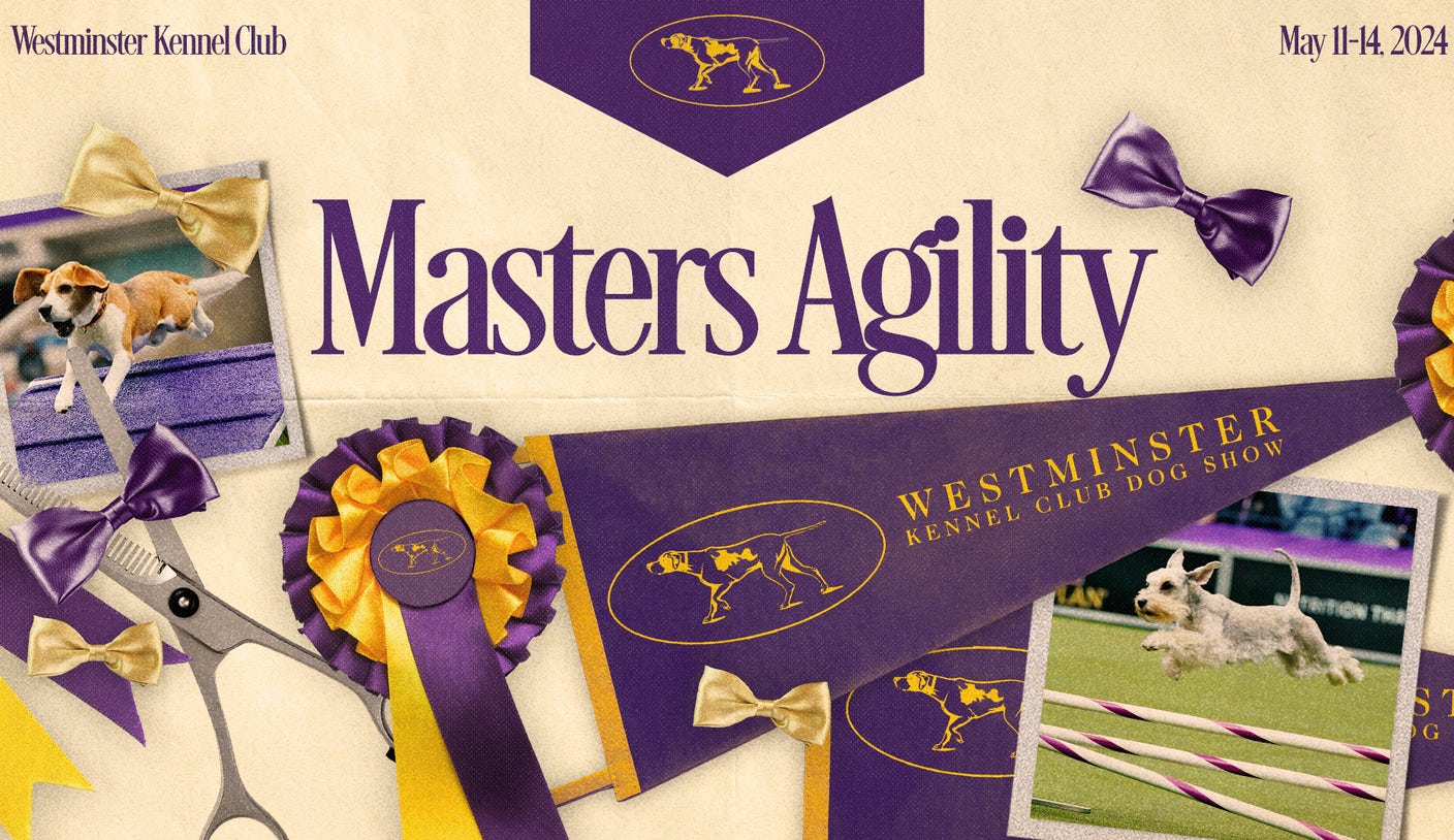 Nimble the All-American Dog Wins 2024 Masters Agility Championship