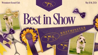 Next Story Image: Sage the Miniature Poodle wins Best in Show at 2024 Westminster Dog Show