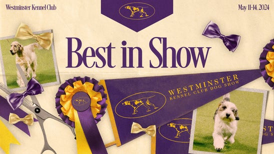 2024 Westminster Dog Show: Live breed results, group winners, Best in Show