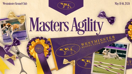 2024 Masters Agility Championship: Nimble the All-American dog crowned
