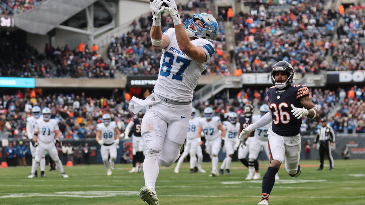 Sam LaPorta was on the receiving end of the Lions' "stumble bum" play that went for a touchdown in their win over the Bears. (Photo by Michael Reaves/Getty Images)