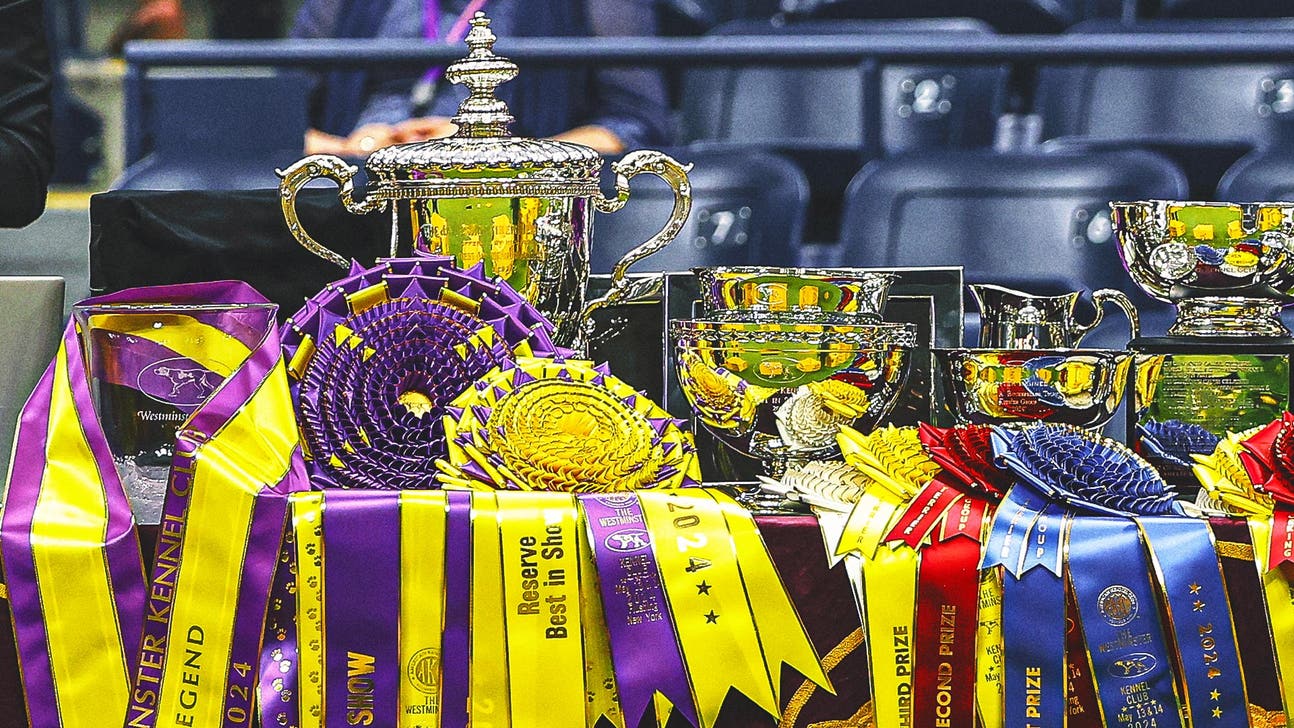 What Makes a Winner? A Westminster Kennel Club Dog Show Judge Explains