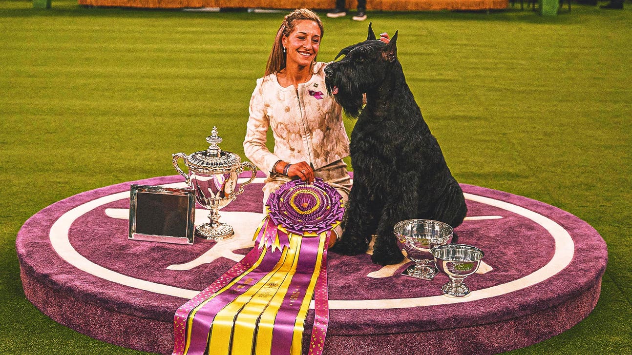 2025 Westminster Kennel Club Dog Show: Best in Show, group winners, more