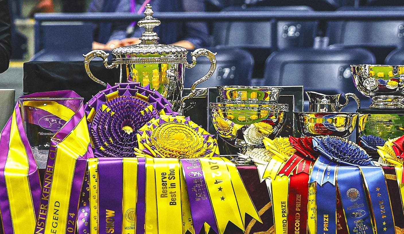 ¿Qué hace a un ganador? El juez de la exposición canina del Westminster Kennel Club explica