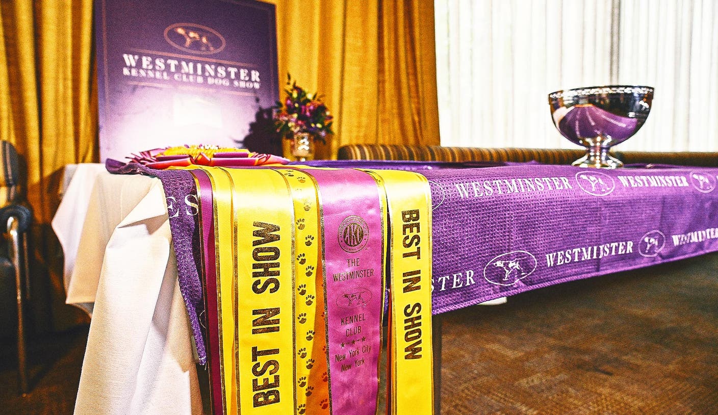 Westminster Kennel Club Dog Show: Best in Show winners, breeds by year