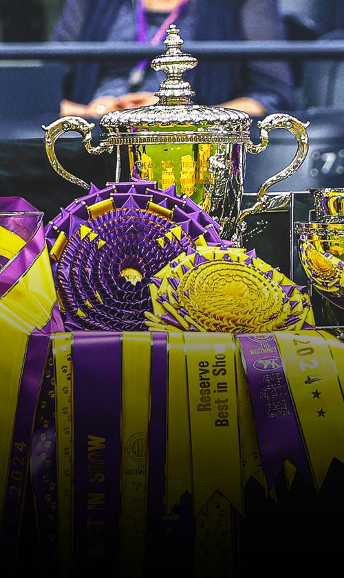 What Makes a Winner? A Westminster Kennel Club Dog Show Judge Explains