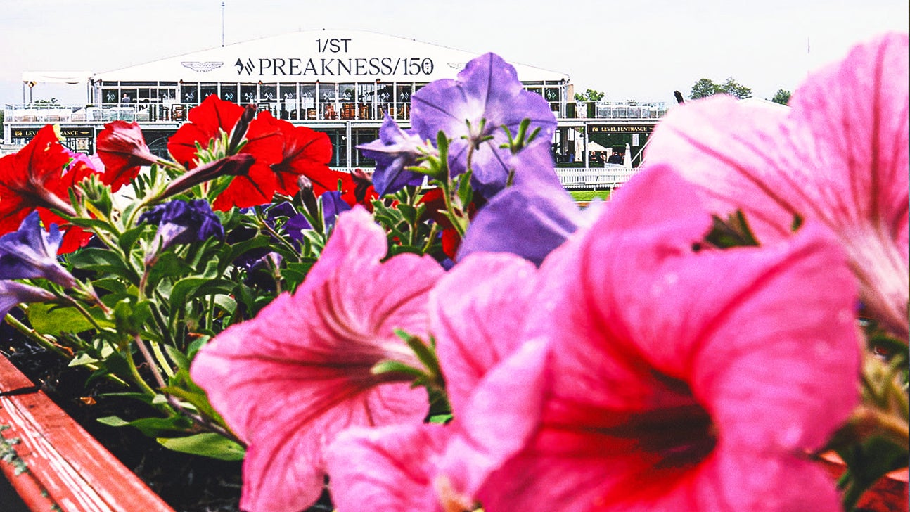 2025 Preakness Stakes odds: Sharps ponying up to back Clever Again