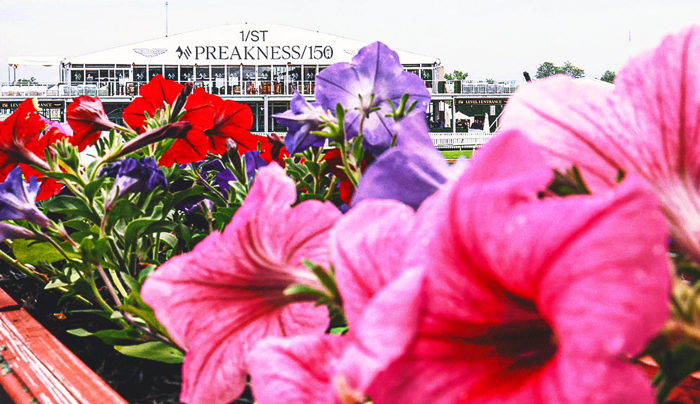2025 Preakness Stakes odds: Sharps ponying up to back Clever Again