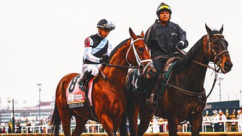 Journalism opens as 8-5 morning line favorite for 150th Preakness Stakes