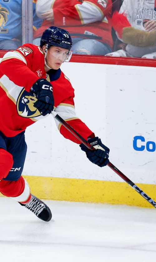 Hurricanes vs. Panthers: Playoff series schedule, scores, TV channel, how to watch