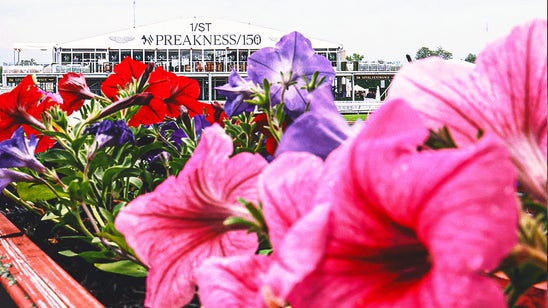 2025 Preakness Stakes odds: Sharps ponying up to back Clever Again