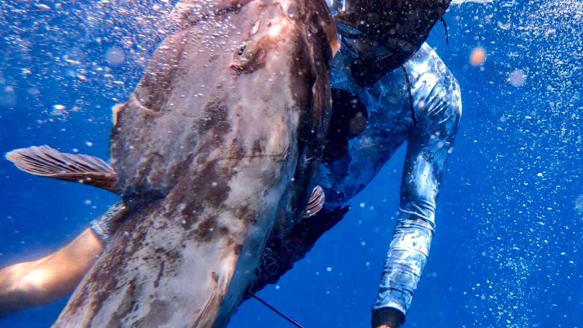 Fishing is among Kyle Kirkwood's favorite hobbies (via Kirkwood's Instagram).