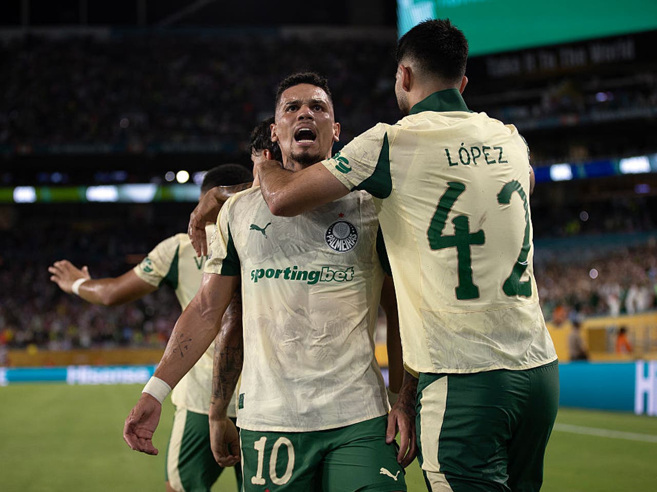 Botafogo RJ vs Palmeiras