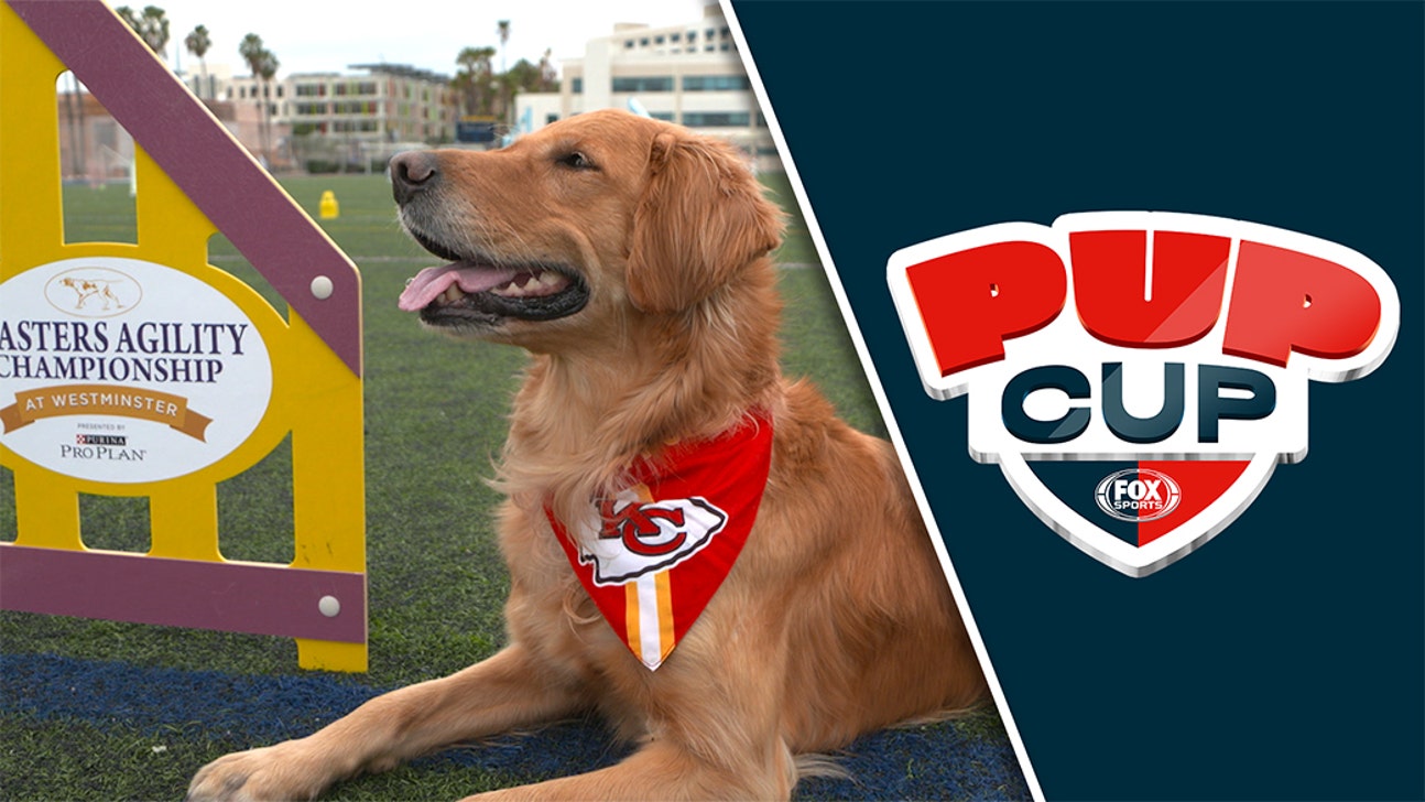 FOX Sports Pup Cup Celebrates Super Bowl LIV and Westminster Kennel Club Dog Show