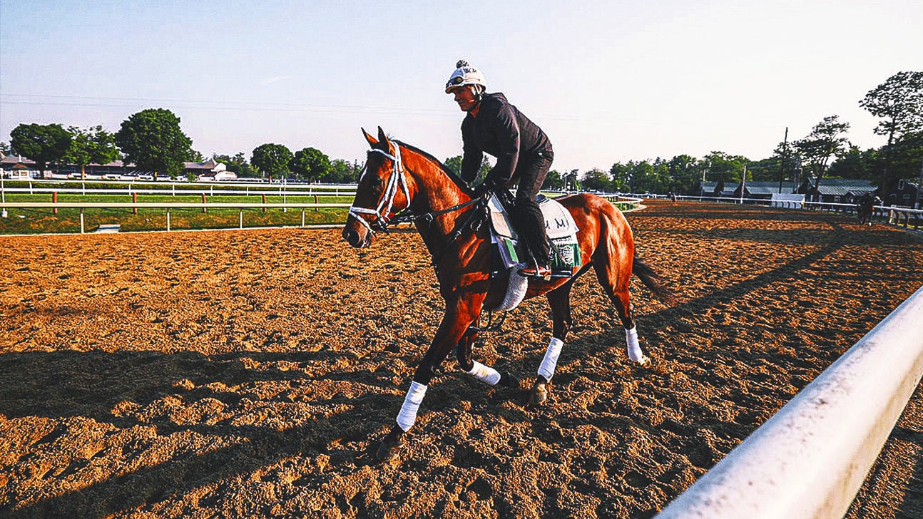 Sovereignty, Journalism, Baeza are 'top tier' in crop of Belmont Stakes horses