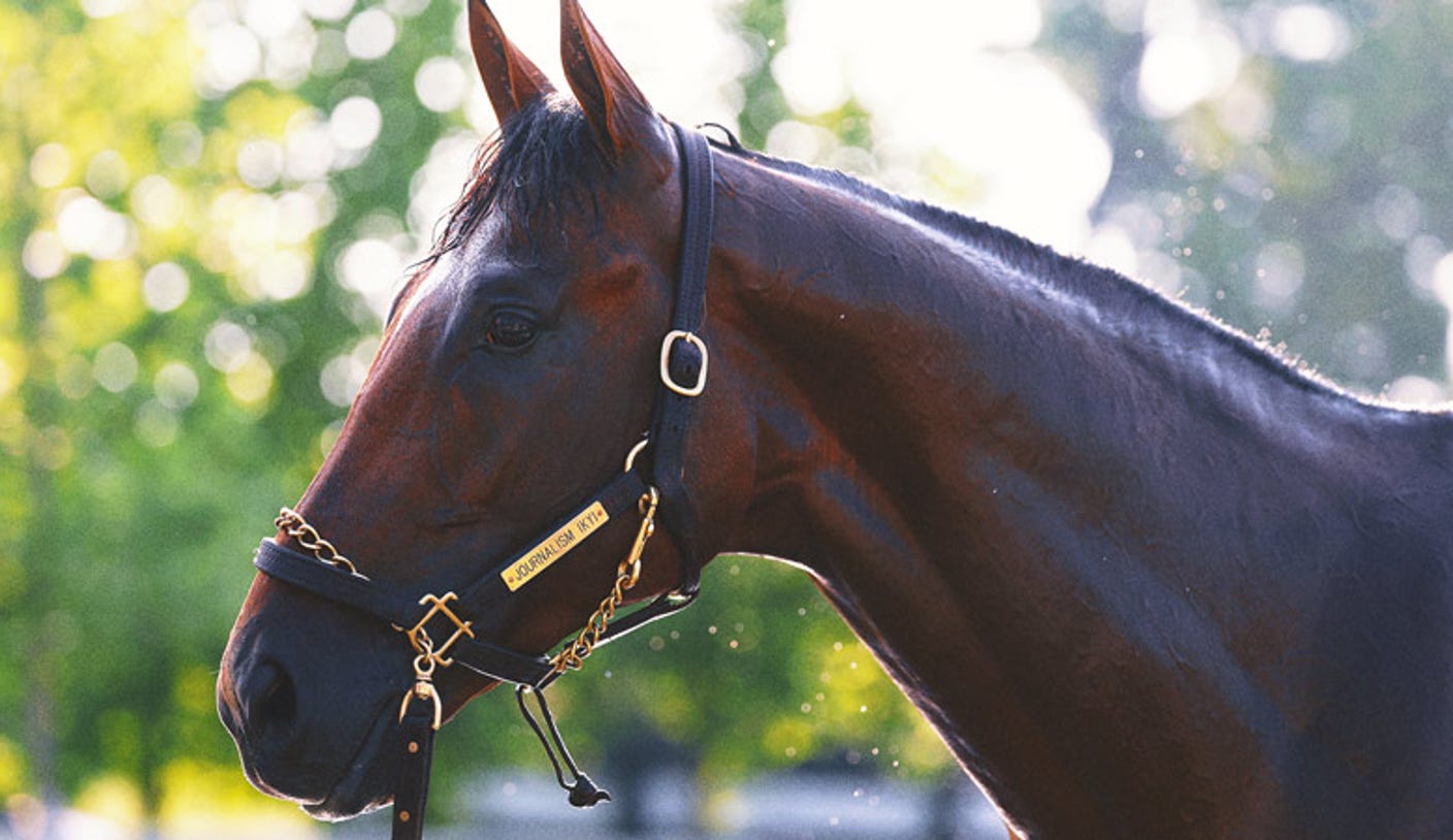 Why is 2025 Belmont Stakes in Saratoga Springs, New York?