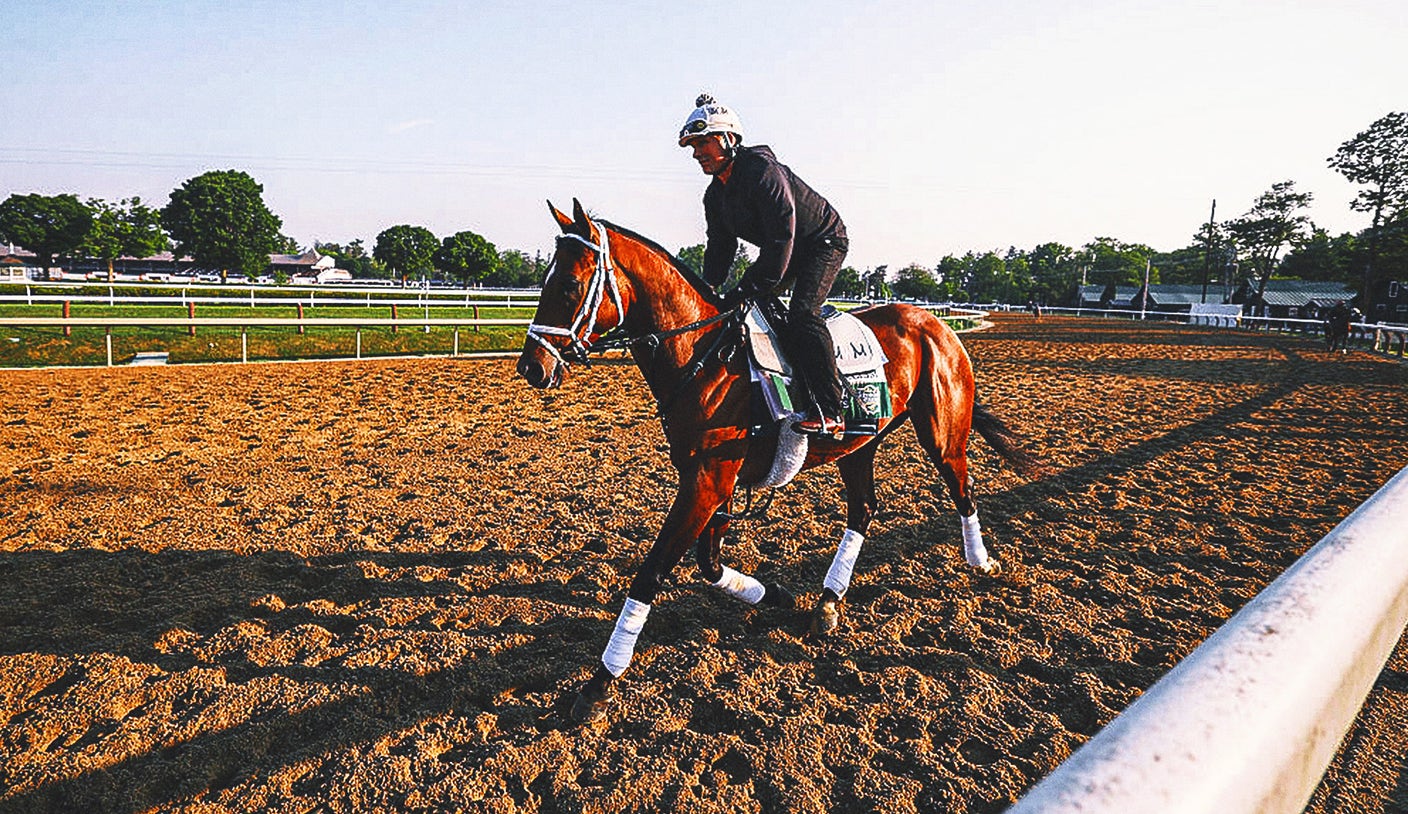 Sovereignty, Journalism, Baeza are 'top tier' in crop of Belmont Stakes horses