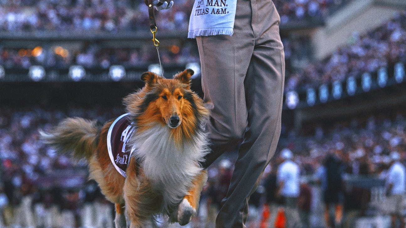 Texas A&M's Collie Mascot Reveille X Has Eye Removed After Glaucoma Diagnosis