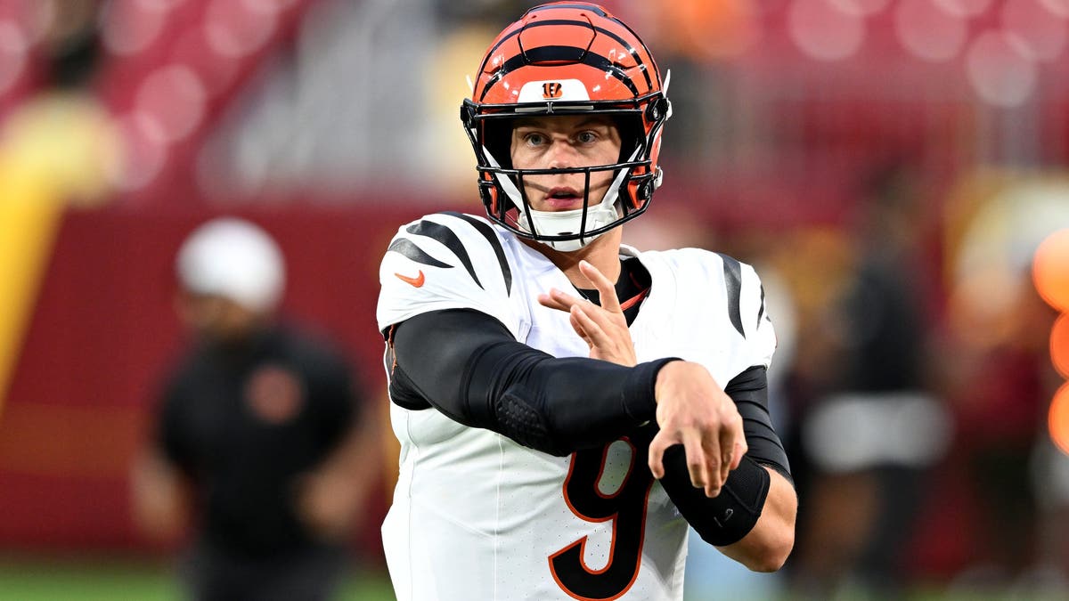 Joe Burrow led the league in passing in 2024. (Photo by G Fiume/Getty Images)