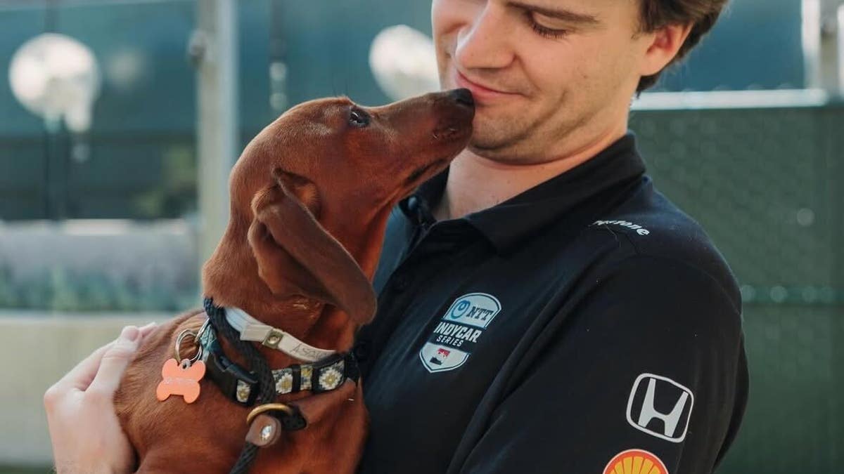 Colton Herta and a rescue pup. (via Herta's Instagram)